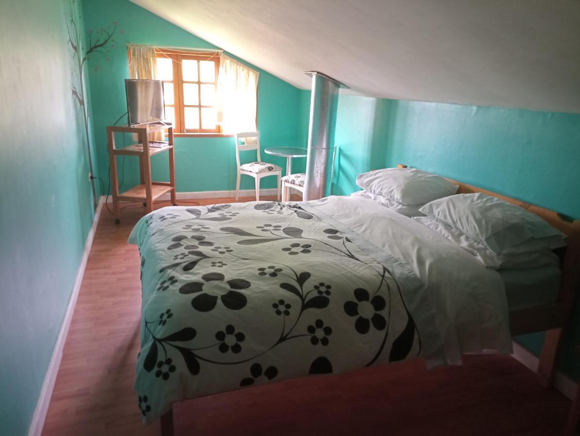 Omi Kika B&B Villarrica Buitenkant foto