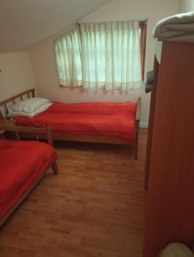 Omi Kika B&B Villarrica Buitenkant foto