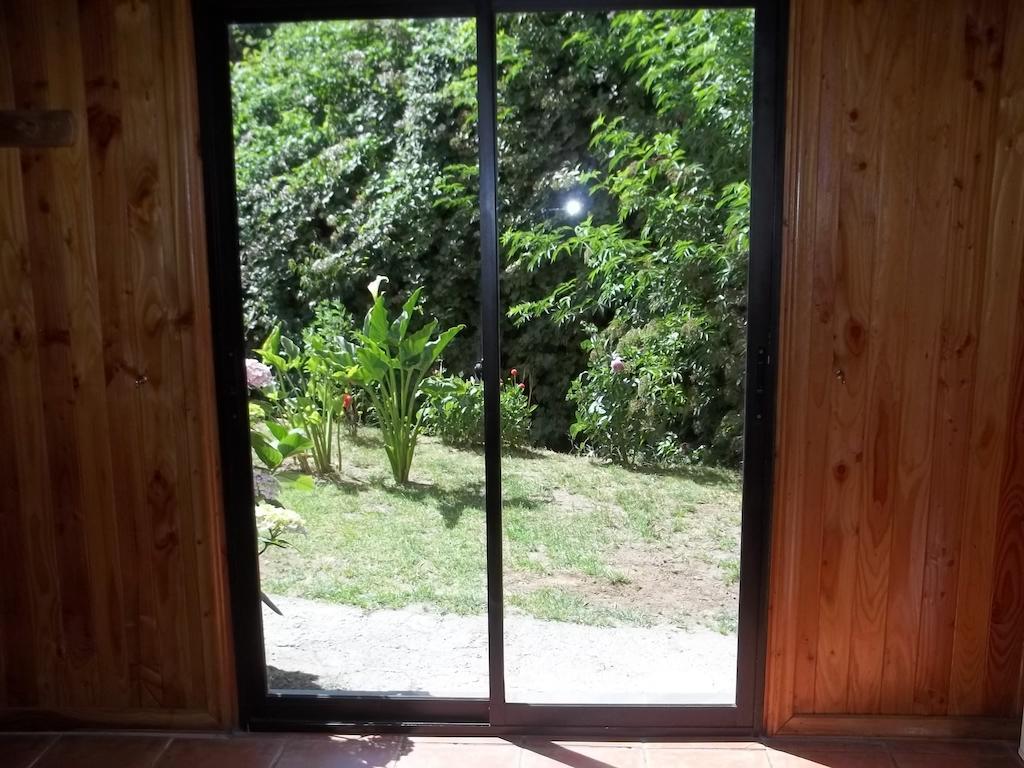Omi Kika B&B Villarrica Buitenkant foto