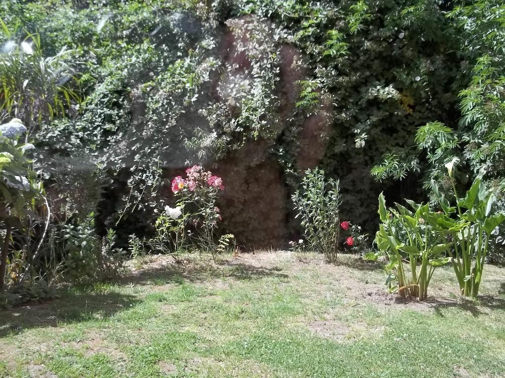 Omi Kika B&B Villarrica Kamer foto