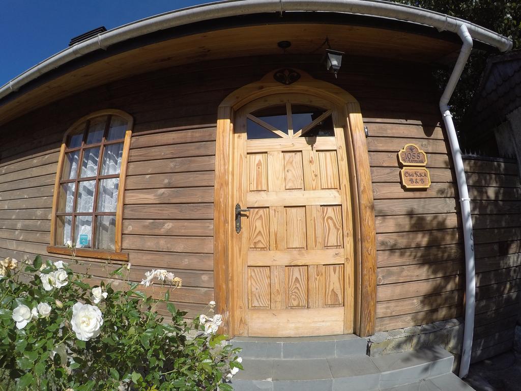 Omi Kika B&B Villarrica Buitenkant foto