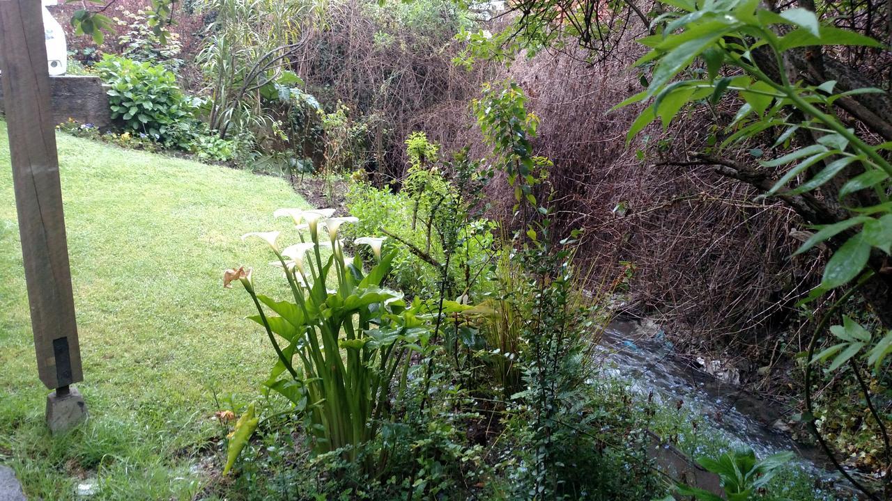 Omi Kika B&B Villarrica Buitenkant foto