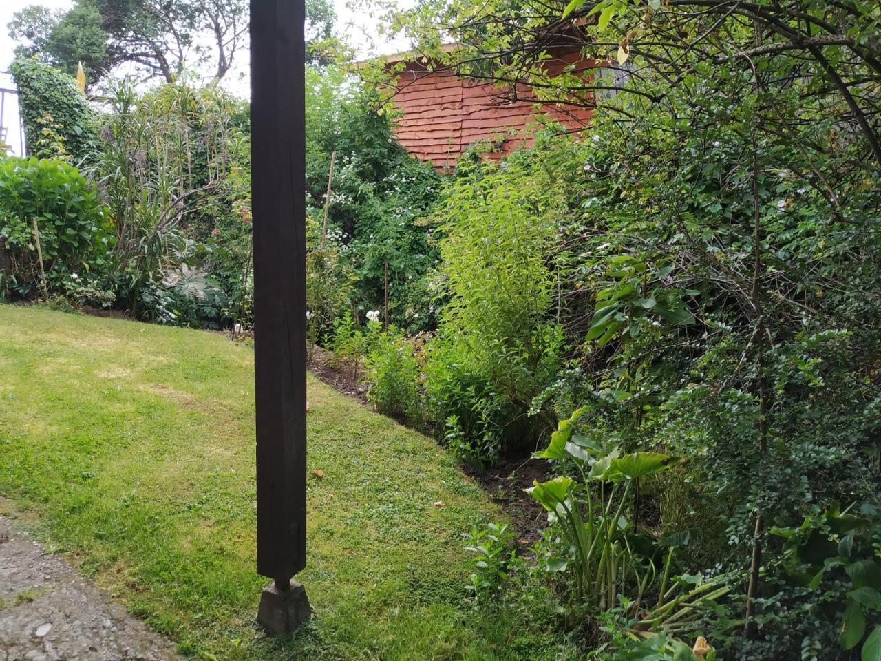 Omi Kika B&B Villarrica Buitenkant foto