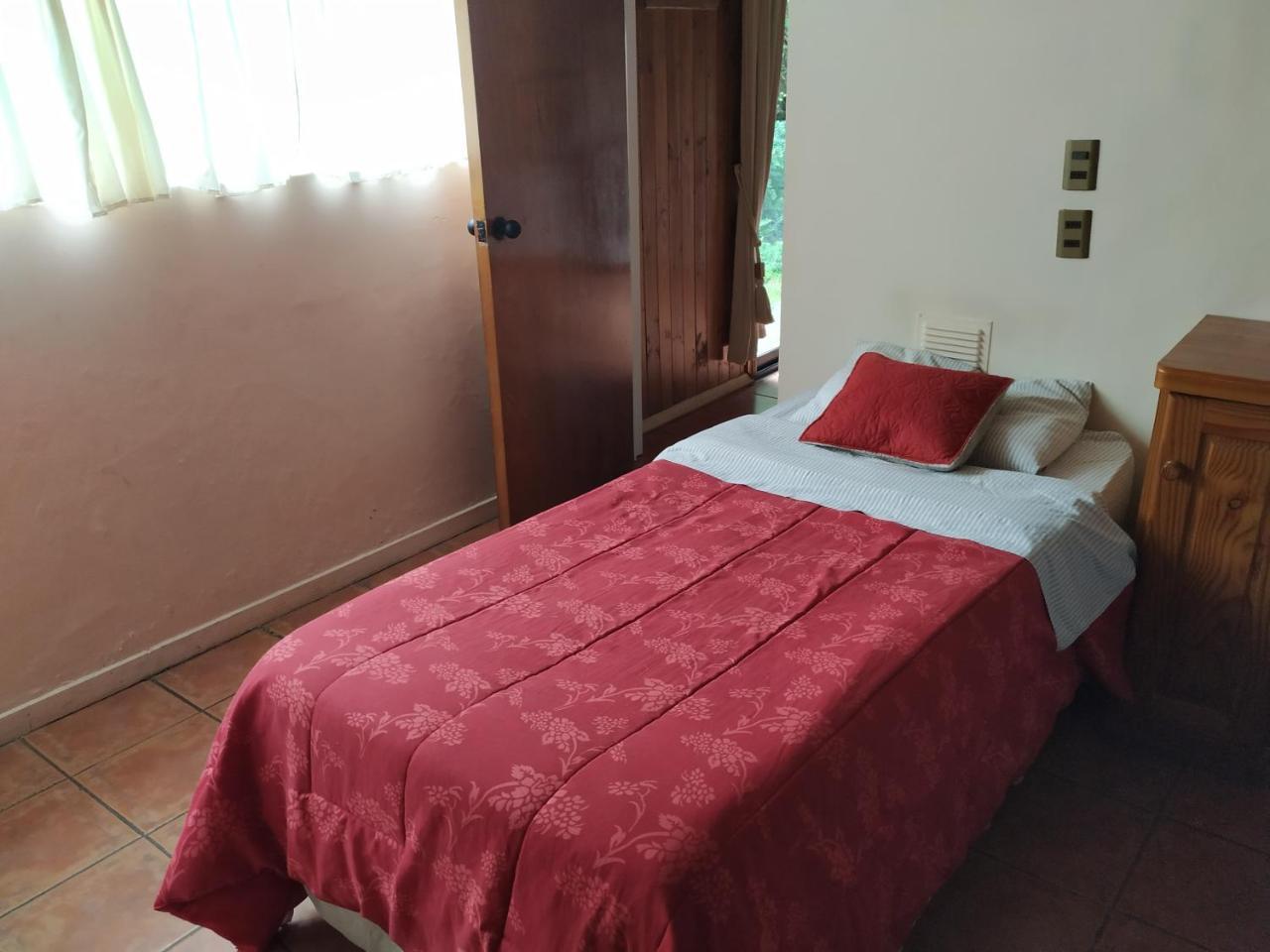 Omi Kika B&B Villarrica Buitenkant foto
